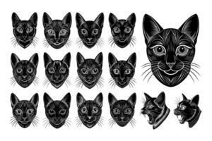 ai generiert Vorderseite Aussicht von Hand gezeichnet Bombay Katze Kopf Illustration Design einstellen vektor