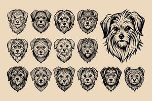ai generiert Vorderseite Aussicht maltesisch Hund Gesicht Kopf Illustration Design bündeln vektor