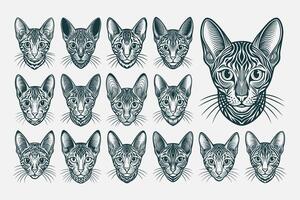 ai generiert bündeln von Vorderseite Aussicht ägyptisch mau Katze Kopf Illustration Design vektor