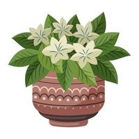 Pflanze mit Weiß Blumen im ein Topf vektor