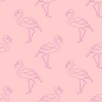 sömlös mönster, linjär flamingo, rosa linje mönster, för tyg, omslag papper vektor
