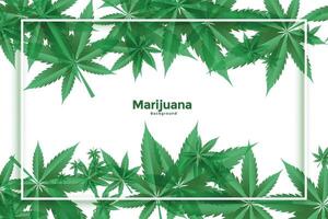Marihuana und Cannabis Grün Blätter Hintergrund Design vektor