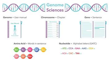Genom Wissenschaften lehrreich Vektor Illustration Grafik Analogie zu Benutzer Handbuch oder Buch