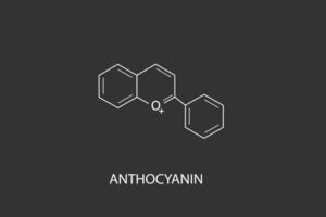 antocyanin molekyl skelett- kemisk formel vektor