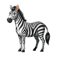 Zebra Illustration auf Weiß Hintergrund. vektor