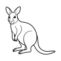 Wallaby Illustration Färbung Seite zum Kinder. vektor