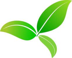 grön blad isolerat på isolerat vit bakgrund, redo för element eller retuschera design. vektor