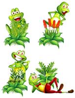 Fyra grodor och olika typer av växter vektor