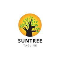 Sonne Baum Logo Design Vorlage Vektor