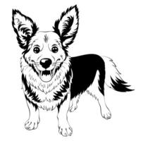 Vektor skizzieren Hund Walisisch Corgi lächelnd