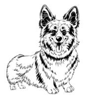 vektor skiss hund welsh corgi leende