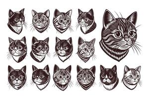 ai generiert Sammlung von exotisch kurzes Haar Kätzchen Katze Illustration Design vektor