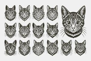 ai generiert süß Vorderseite Aussicht von amerikanisch Bobtail Katze Gesicht Illustration Design einstellen vektor