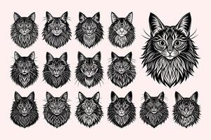 ai generiert Vorderseite Aussicht von eben Detail Maine Waschbär Katze Kopf Illustration Design einstellen vektor