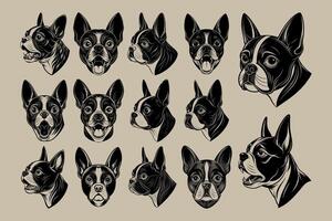 ai genererad hand dragen platt boston terrier hund ansikte från sida design uppsättning vektor