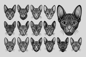 ai genererad porträtt av detaljerad sphynx katt huvud illustration design bunt vektor