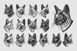 ai genererad uppsättning av sida se burmesiska katt huvud porträtt illustration design vektor
