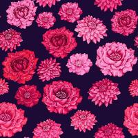 sömlös mönster stiliserade konstnärlig blommor pioner georginer mönster på en mörk svart bakgrund. abstrakt färgrik röd reste sig rosa blommig utskrift. vektor dragen illustration blomning växter. design
