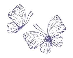 delikat fjärilar med mönster på de vingar, enkel, ljuv, ljus, romantisk. illustration grafiskt ritad för hand i lila bläck i linje stil. uppsättning av isolerat eps vektor objekt