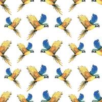 tropisch fliegend Blau Gelb Ara Papagei. Hand gezeichnet Aquarell botanisch Illustration. nahtlos Muster auf ein Weiß Hintergrund. vektor