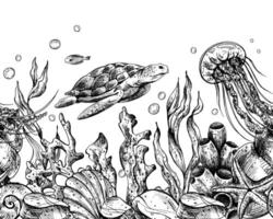 under vattnet värld ClipArt med hav djur val, sköldpadda, bläckfisk, sjöhäst, sjöstjärna, skal, korall och alger. grafisk illustration hand dragen i svart bläck. sömlös gräns eps vektor. vektor