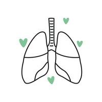 vektor klotter lungor inre organ isolerat