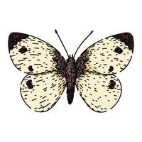 Silhouette Schmetterling skizzieren Hand gezeichnet Vektor