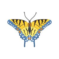 Gelb Schmetterling Karikatur Vektor Illustration