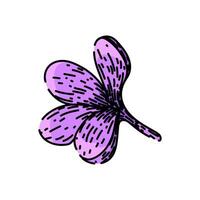 Blumen- lila skizzieren Hand gezeichnet Vektor