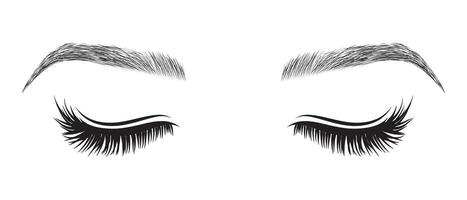 kvinna stängd ögon med ögonbryn och fransarna isolerat illustration vektor