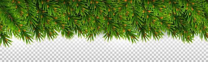horizontaler Rand aus immergrünen Fichtenzweigen. für Weihnachtsdekorationen und Grußkartendesigns. vektor