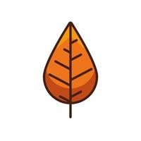 Thanksgiving-Blatt-Pflanze-Herbst-Symbol vektor