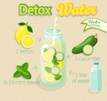 Detoxcocktail, Vektor. vektor