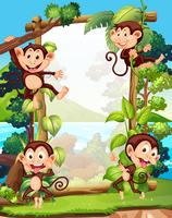 Randgestaltung mit vier Affen vektor