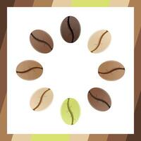 Kaffee Bohnen realistisch einstellen zeigen verschiedene Stufen von Braten isoliert auf Weiß Hintergrund Vektor