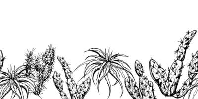 hand dragen bläck vektor illustration, natur tropisk exotisk öken- växt saftig kaktus aloe agave löv. sömlös baner isolerat på vit bakgrund. design resa, semester, broschyr, skriva ut