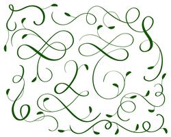 grön uppsättning av vintage blomstra dekorativa konst kalligrafi vinklar för design. Vektor illustration EPS10