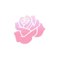 Rose Blume von Blühen Pflanze. Garten Rose isoliert Symbol von Rosa Blüte, Blütenblatt und Knospe mit Grün Stengel und Blatt zum romantisch Blumen- Dekoration, Hochzeit Strauß und Valentinstag Gruß Karte vektor