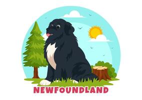 newfoundland hund djur vektor illustration med svart, brun eller landseer Färg i platt stil söt tecknad serie natur bakgrund design