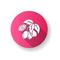 jojoba rosa platt design lång skugga glyfikon. tropiska frukter. mirakelfrukt. botanik. brasiliansk växt. tillverkning av kosmetisk olja. silhouette rgb färg illustration vektor