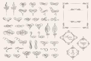 Ställ in samling av vektor kalligrafiska element och siddekorationer.