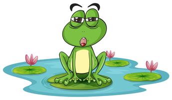 ein Frosch und ein Wasser vektor