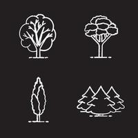 träd krita ikoner set. granskog, björk, lönn. isolerade svarta tavlan vektorillustrationer vektor