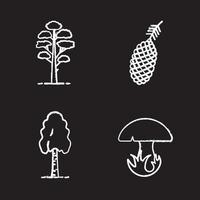 Forstwirtschaft Kreide Icons Set. Tannenzapfen und Baum, Birke, Pilz. isolierte tafel Vektorgrafiken vektor