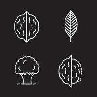 skogsbruk krita ikoner set. valnötsblad, ek, nötter. isolerade svarta tavlan vektorillustrationer vektor