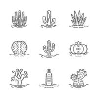 vilda kaktusar på marken linjära ikoner set. mexikansk tropisk flora. suckulenter. taggiga växter. kaktus samling. tunn linje kontursymboler. isolerade vektor kontur illustrationer. redigerbar linje