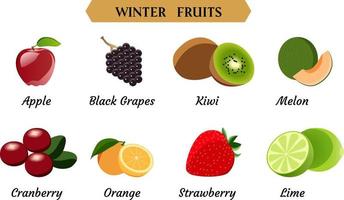 Winterfrüchte Vektor-Illustration, einfache Früchte-Vektor-Illustration. vektor