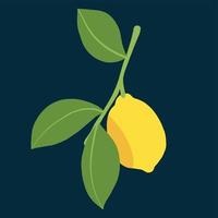doodle frihandsskissritning av citronfrukt. vektor
