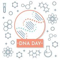 National DNA Tag ist April 25. Poster, Banner mit ein Bild von ein DNA doppelt Wendel und Text. eben Vektor Illustration