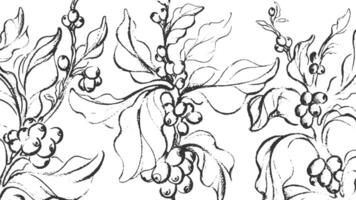 Kaffee skizzieren. Vektor Natur Baum, Zweig, Blatt, Bohne, Getreide. Jahrgang Hand gezeichnet Tinte Illustration auf Weiß Hintergrund. Aroma Energie trinken. tropisch Essen, Bauernhof Plantage